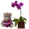 ORQUIDEA LILAS+URSO 25cm "EU TE AMO"