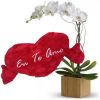 Orquídea Branca+Coração Grande "Eu Te Amo" 75x42