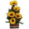 Ikebana com Girassóis