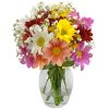 Arranjo no vaso P com Flores Campestres